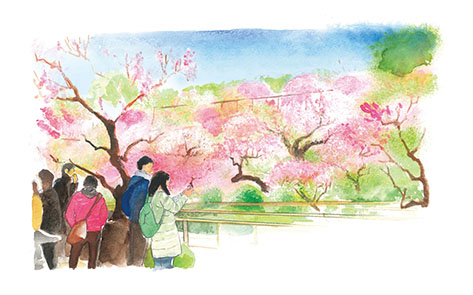 池上梅園