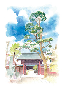 大坊本行寺　山門